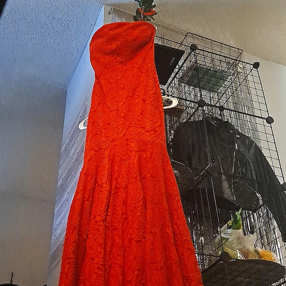Cache brand, long, red dress - Picture 2 of 4
